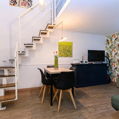 Interno 43