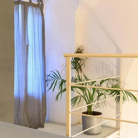 Interno 43