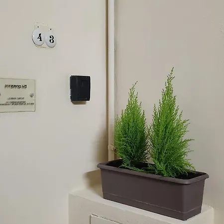 דירה Interno 43 *
